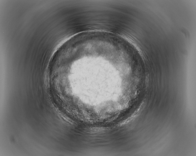 X0000111190925200907221106