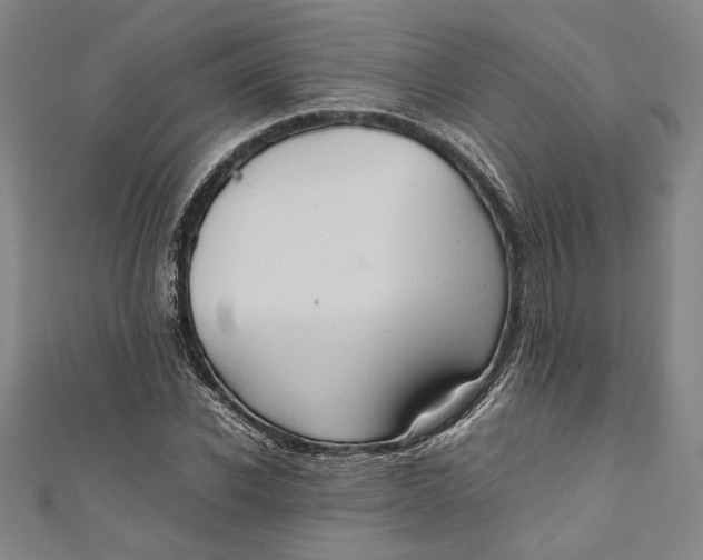 X0000111190926200907221106