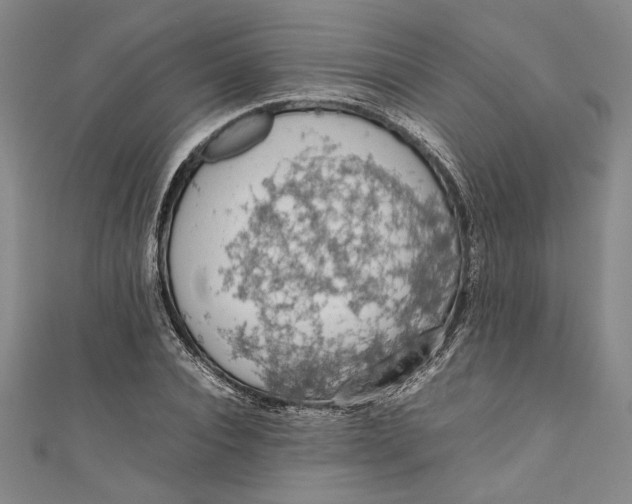 X0000111190928200907221106