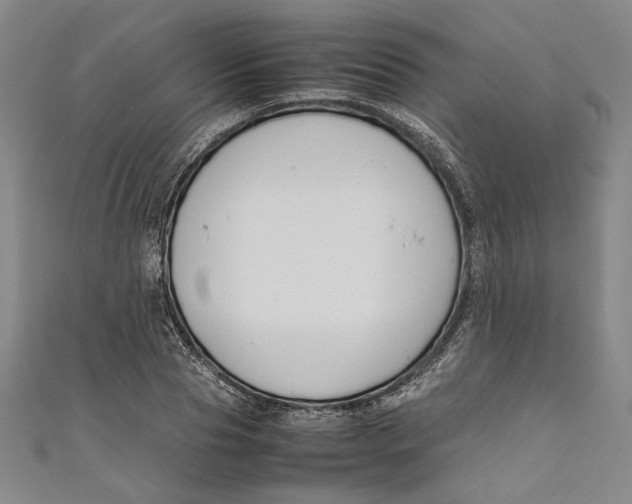 X0000111190929200907221106