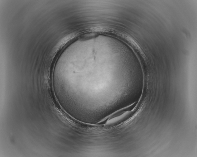 X0000111190930200907221106