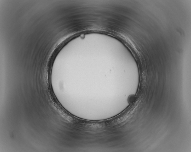 X0000111190931200907221106