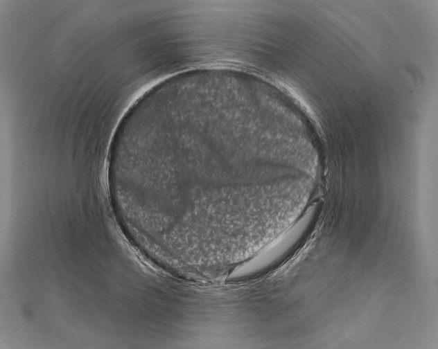 X0000111190932200907221106