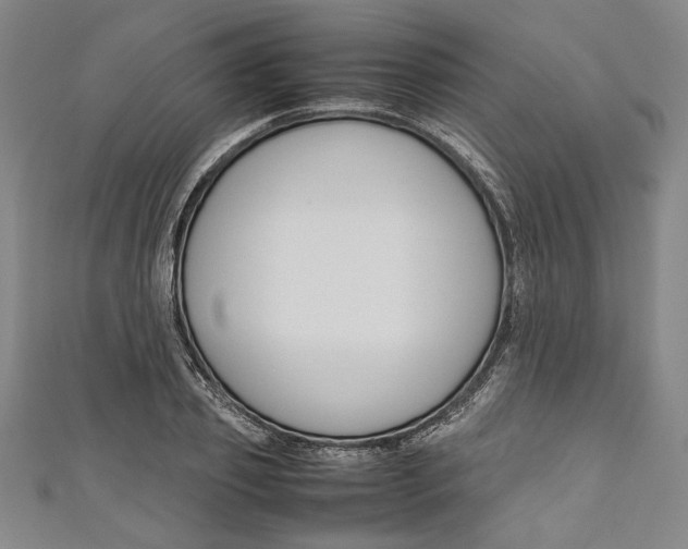 X0000111190933200907221106