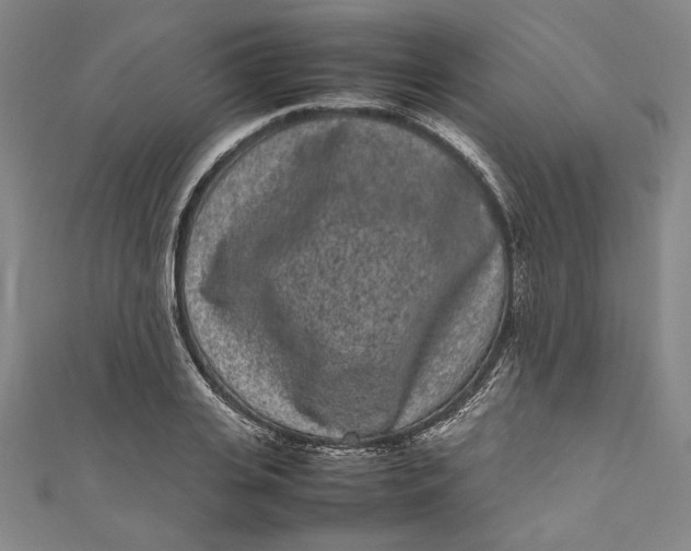 X0000111190935200907221106