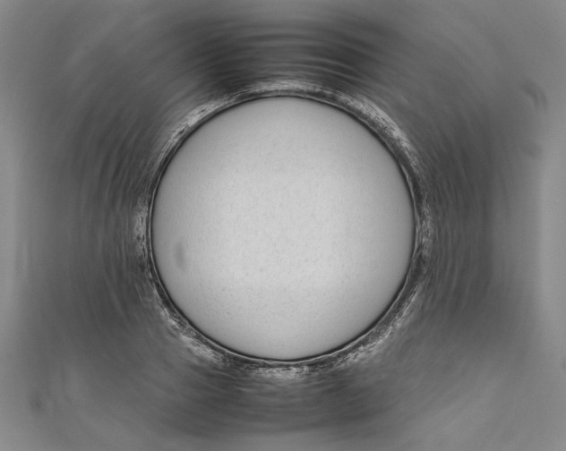 X0000111190937200907221106