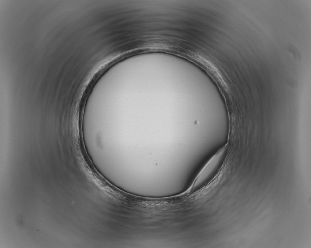 X0000111190939200907221106