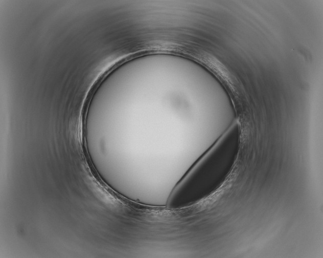 X0000111190940200907221106