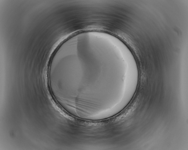 X0000111190941200907221106