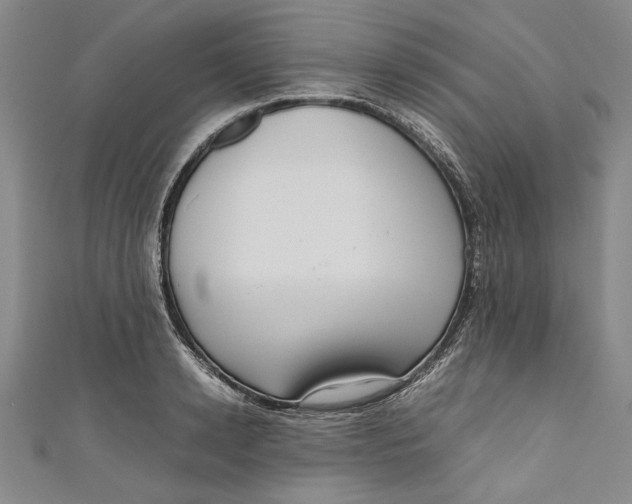 X0000111190942200907221106