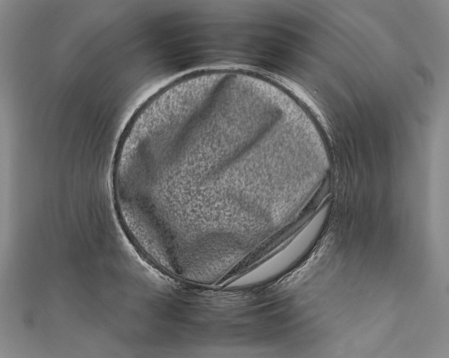 X0000111190943200907221106