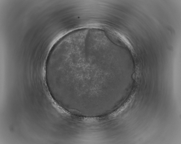 X0000111190944200907221106