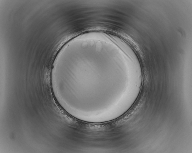 X0000111190945200907221106