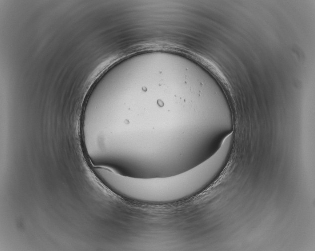 X0000111190946200907221106