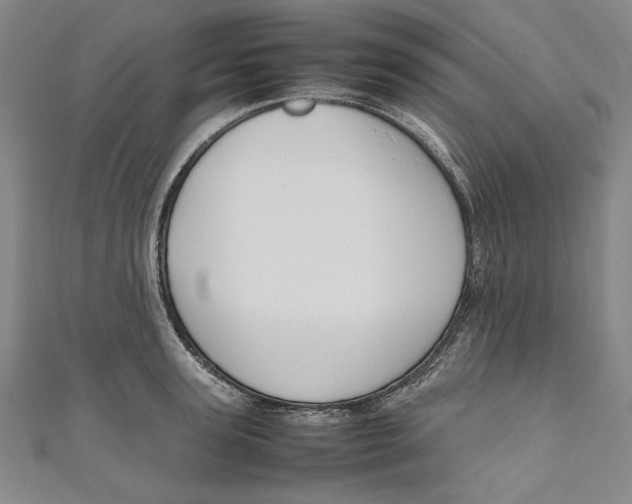 X0000111190947200907221106