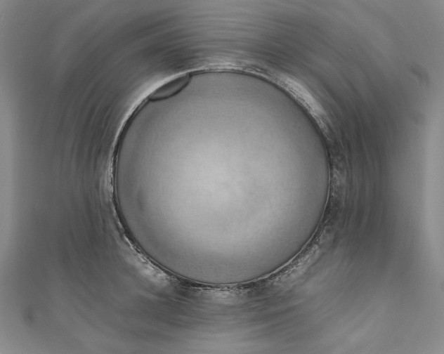 X0000111190948200907221106