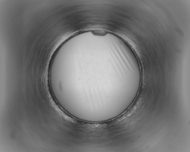 X0000111190949200907221106