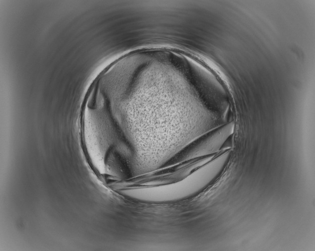 X0000111190951200907221106