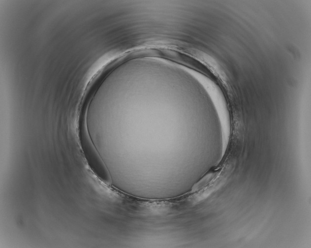 X0000111190952200907221106