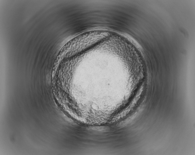 X0000111190953200907221106