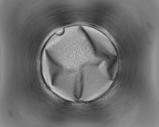 X0000111190955200907221106