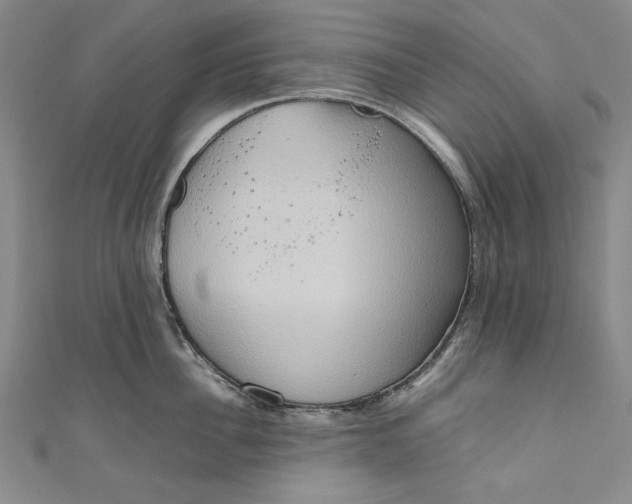 X0000111190956200907221106