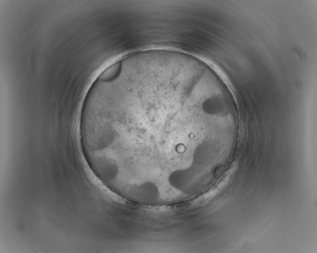 X0000111190957200907221106