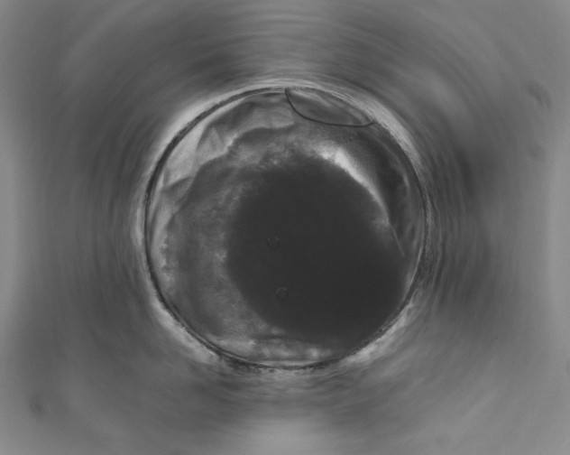 X0000111190958200907221106