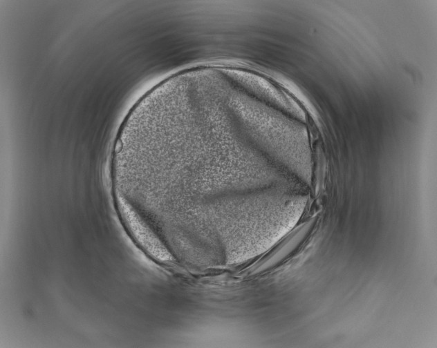 X0000111190959200907221106