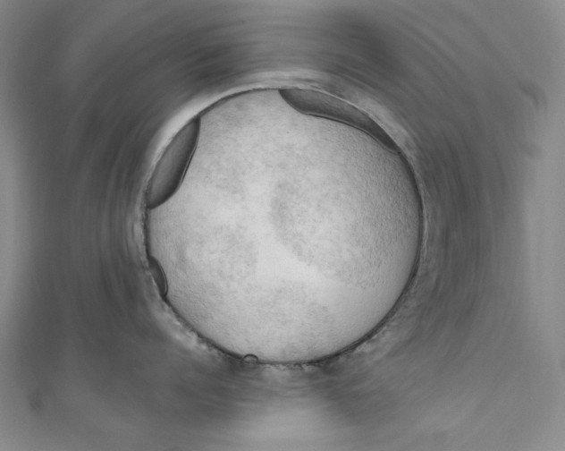 X0000111190960200907221106