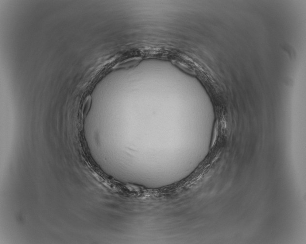 X0000111190961200907221106