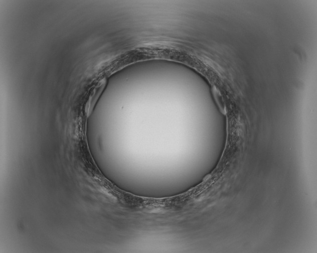 X0000111190965200907221106