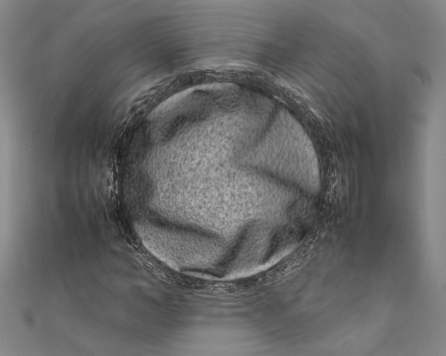 X0000111190966200907221106