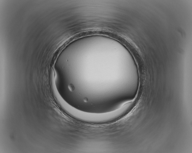 X0000111190969200907221106