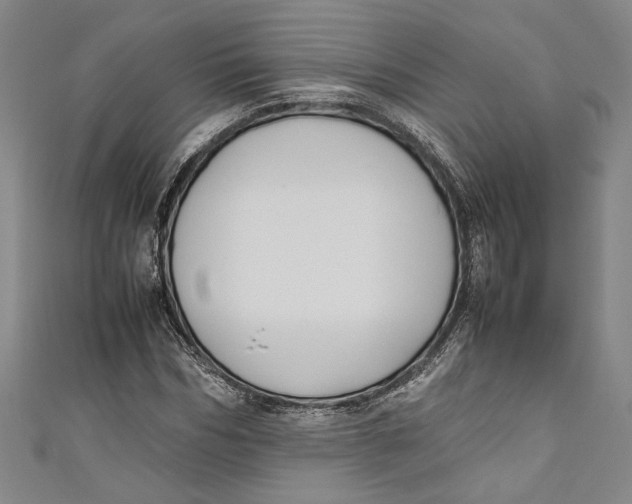 X0000111190970200907221106