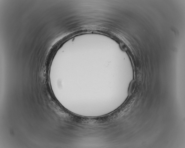 X0000111190971200907221106