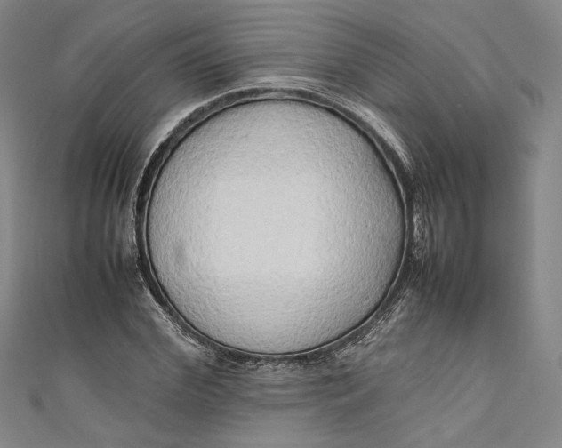 X0000111190972200907221106