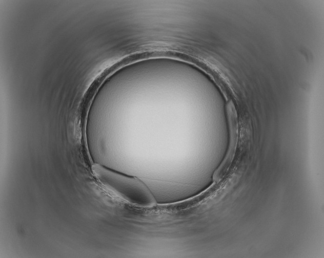 X0000111190973200907221106