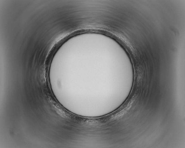 X0000111190974200907221106