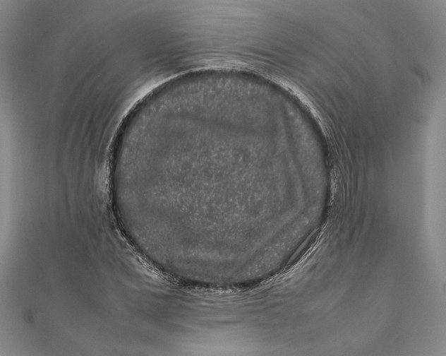 X0000111190975200907221106