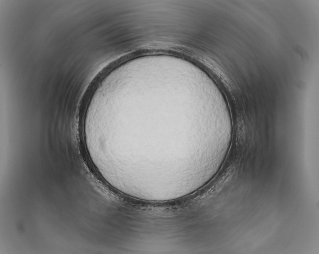 X0000111190976200907221105