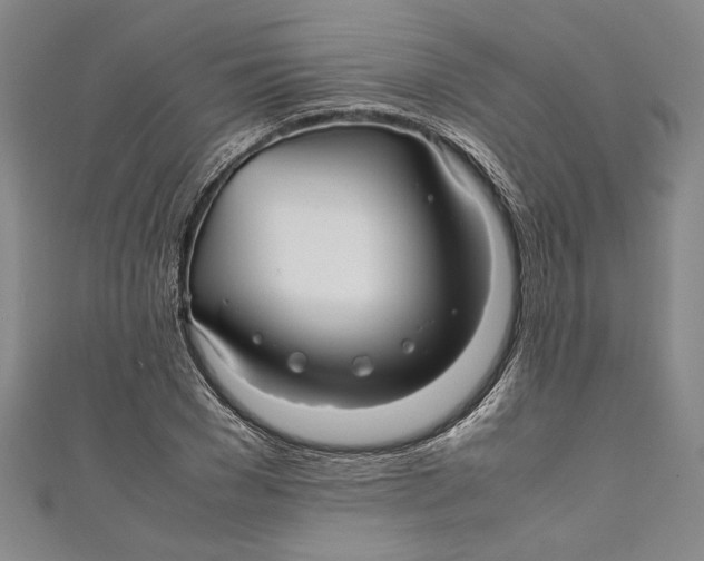 X0000111190977200907221105