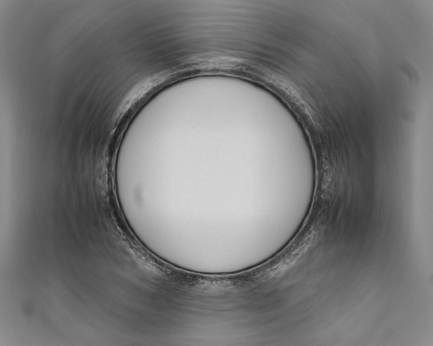 X0000111190978200907221105