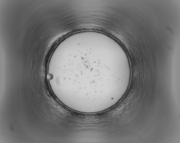 X0000111190979200907221105