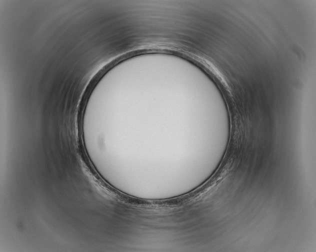 X0000111190980200907221105