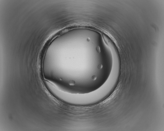 X0000111190981200907221105