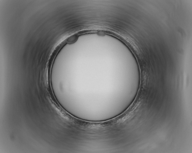 X0000111190982200907221105