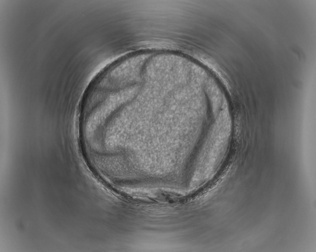 X0000111190983200907221105