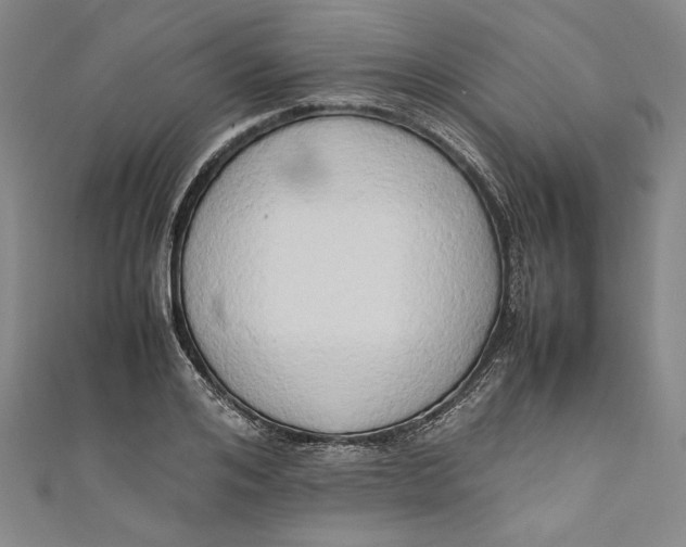 X0000111190984200907221105