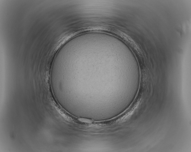 X0000111190985200907221105